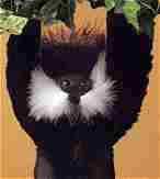 Loc - Click to order.