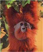 Oba  - Click to Order