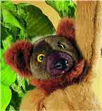 Roozani  - Click to Order