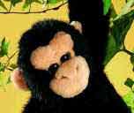 Sabola - Click to order.