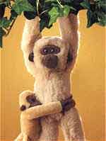 Sudha and Baby Ikshu