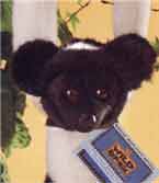 Themba  - Click to Order