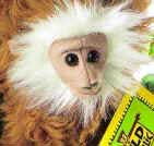 Ting Ting - Click to order.