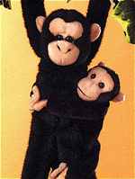 Dakarai & Baby Ayoka