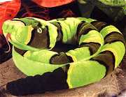 Green Rock Rattlesnake